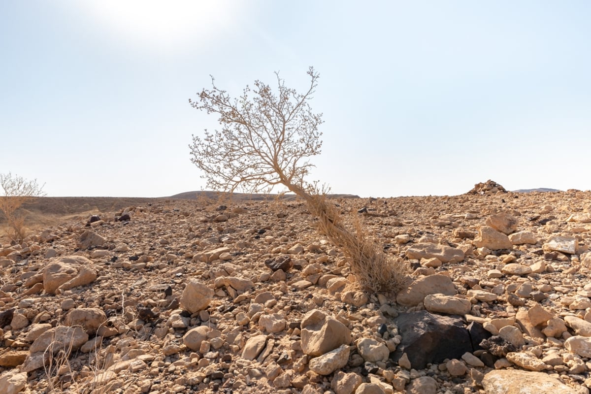 תחזית מזג האוויר: תורגש הקלה בעומס החום