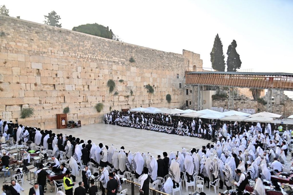 הרבי מויז'ניץ התפלל בכותל ובהר הזיתים