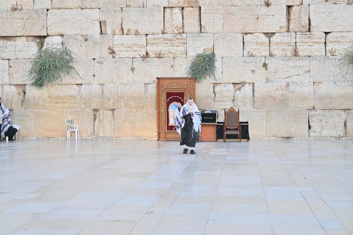 הרבי מויז'ניץ התפלל בכותל ובהר הזיתים