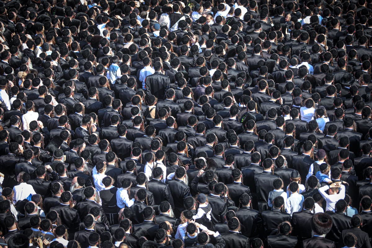 אלפי חסידי גור בחתונת נכדת האדמו"ר • תיעוד