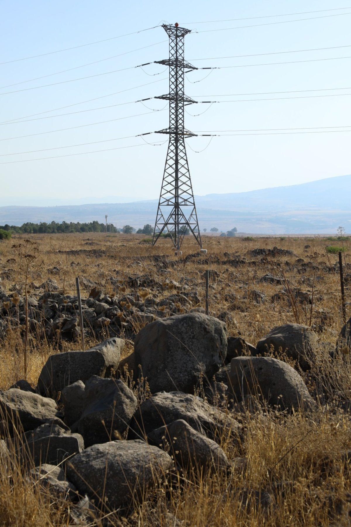 גלריה: טיול דרך עדשת המצלמה לנופי הצפון