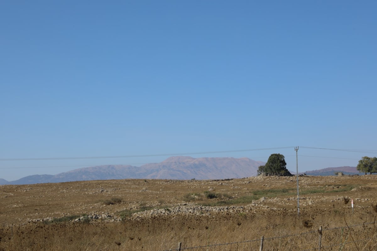 גלריה: טיול דרך עדשת המצלמה לנופי הצפון