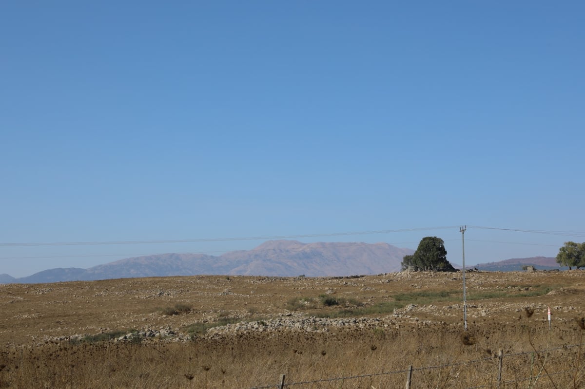 גלריה: טיול דרך עדשת המצלמה לנופי הצפון