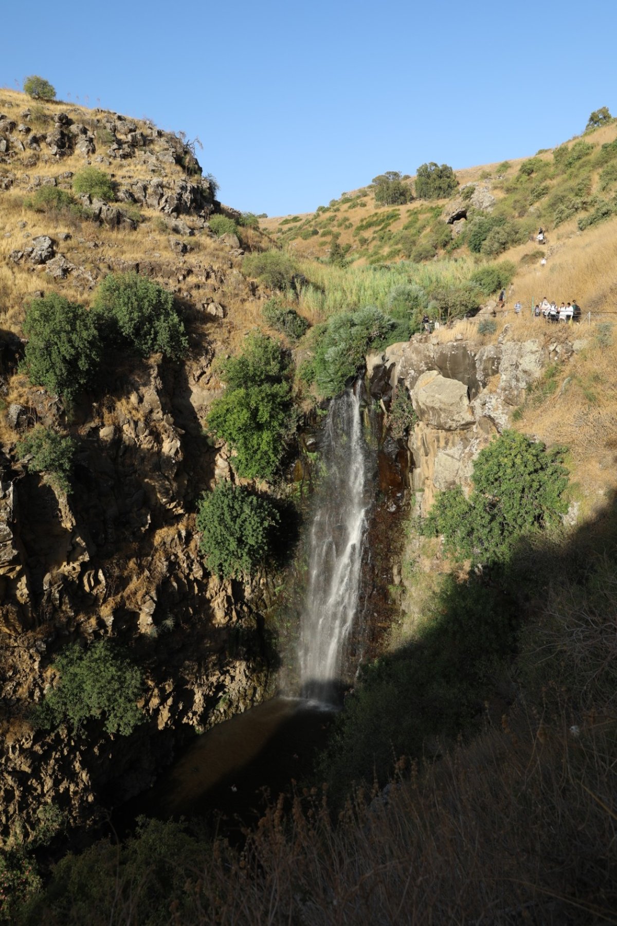 גלריה: טיול דרך עדשת המצלמה לנופי הצפון