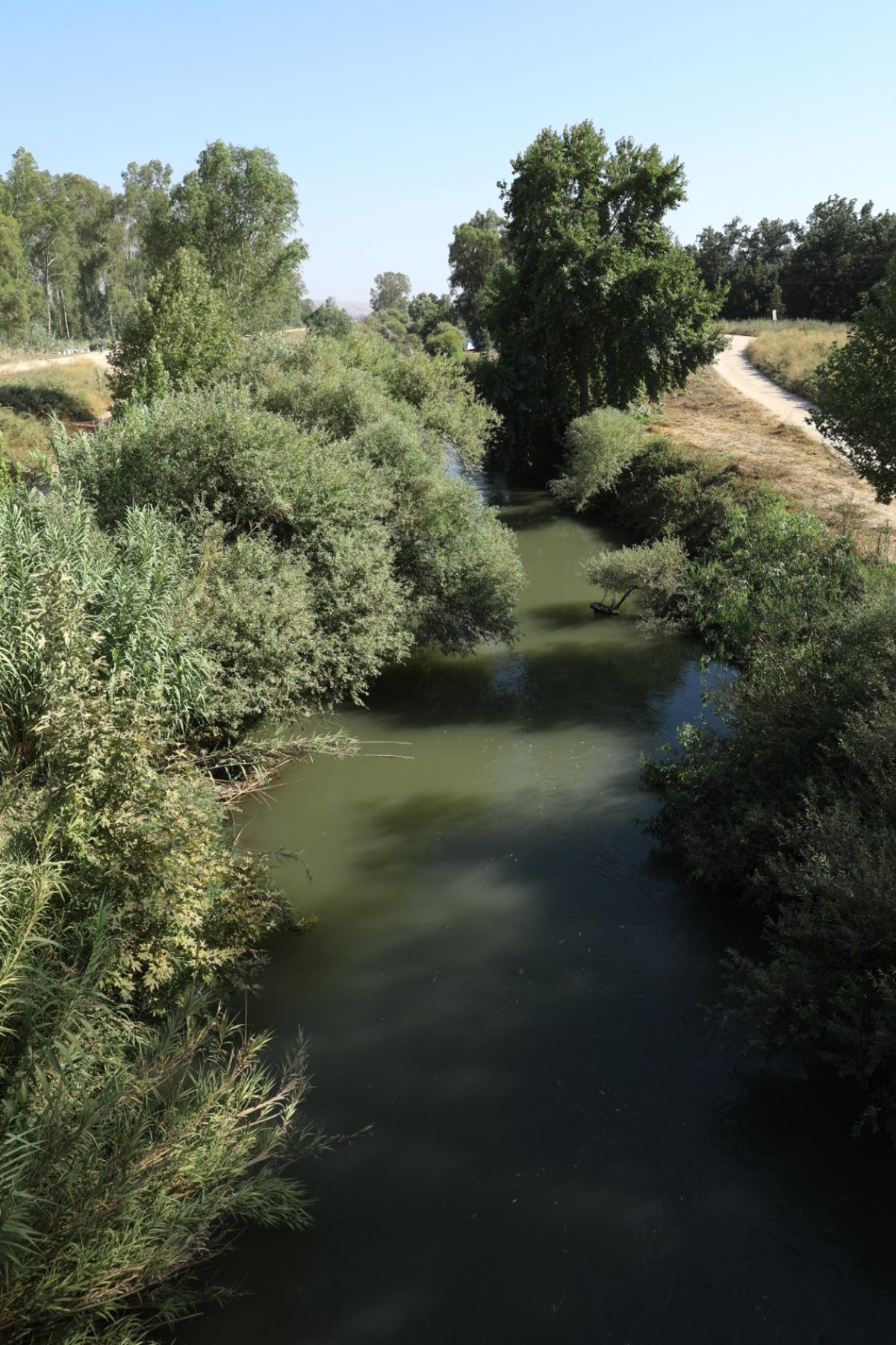 גלריה: טיול דרך עדשת המצלמה לנופי הצפון