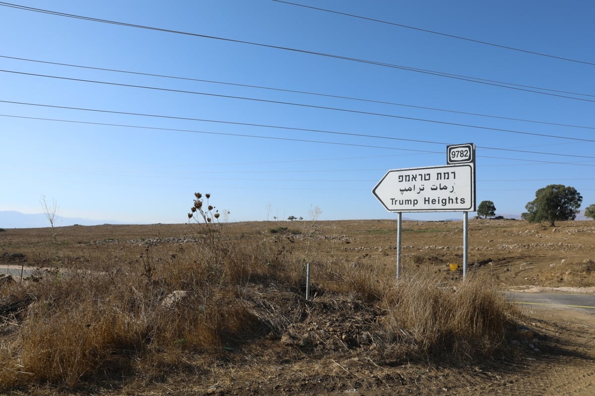 גלריה: טיול דרך עדשת המצלמה לנופי הצפון