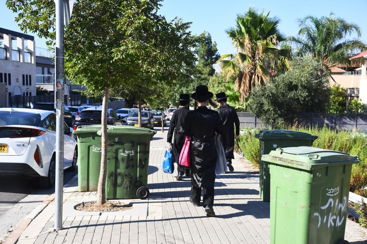 תיעוד: המשפיע רבי מיילך בידרמן שבת במירון