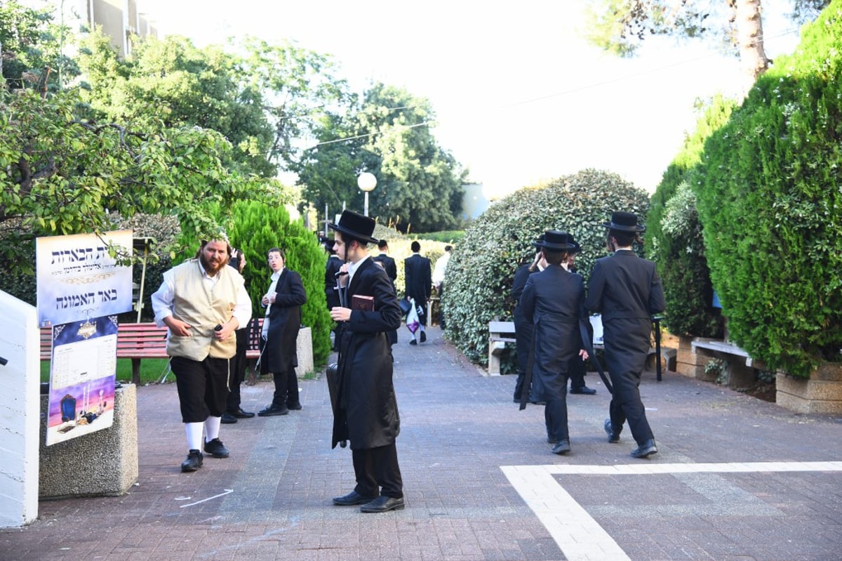 תיעוד: המשפיע רבי מיילך בידרמן שבת במירון