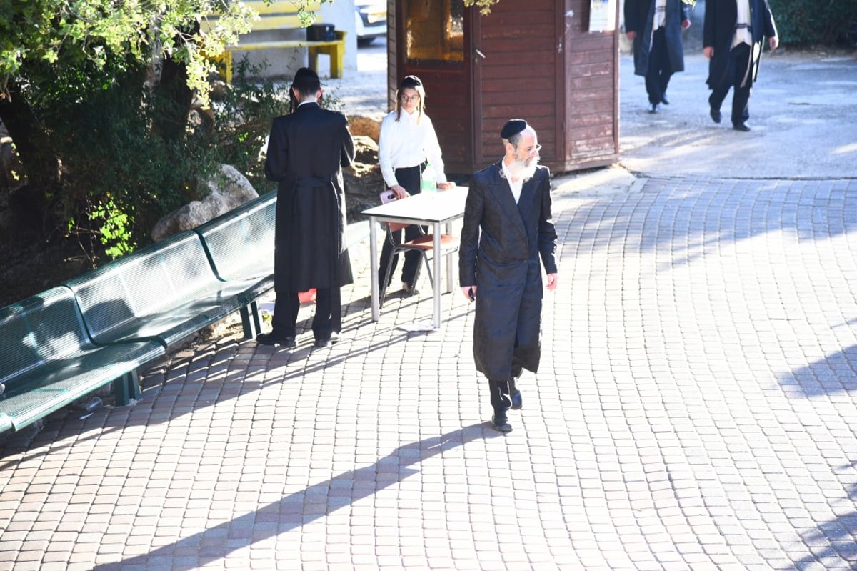 תיעוד: המשפיע רבי מיילך בידרמן שבת במירון