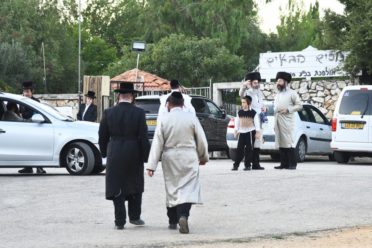 תיעוד: המשפיע רבי מיילך בידרמן שבת במירון