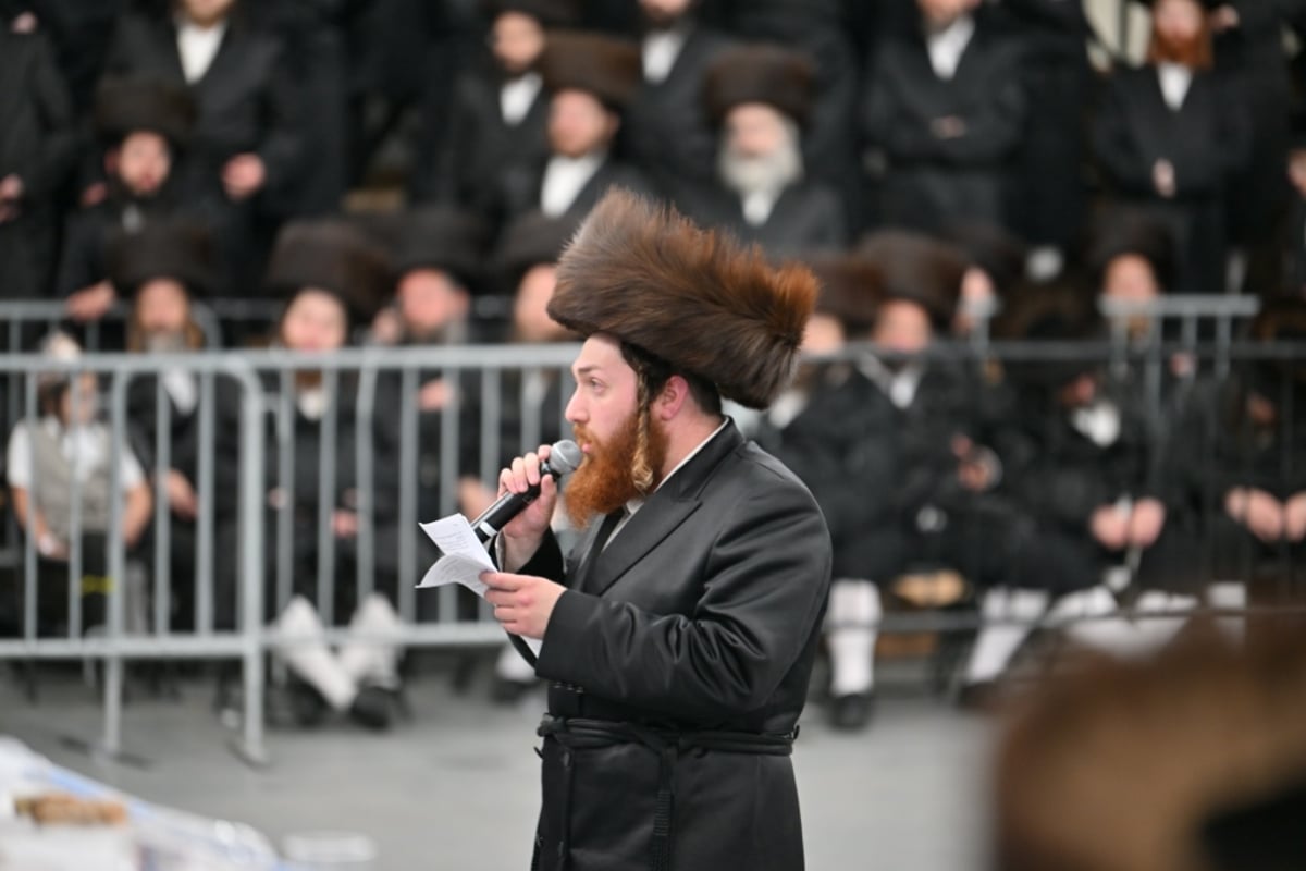 שמחת החתונה לנכד האדמו"רים מויז'ניץ וויען