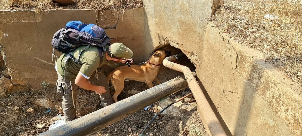 170 ימים להיעלמות: נמשכים החיפושים אחרי מוישי קליינרמן