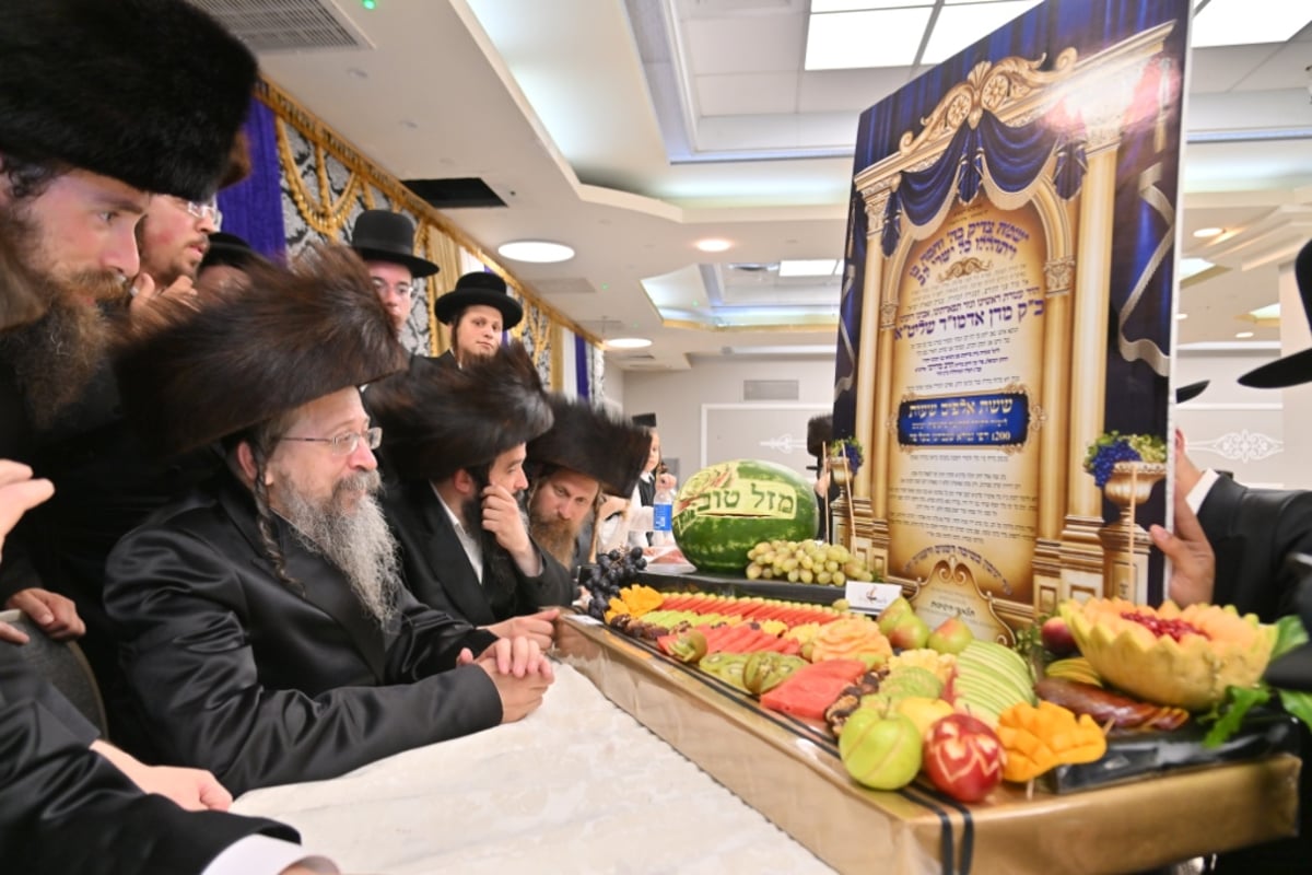 שמחת החתונה לבן האדמו"ר מסווראן | גלריה