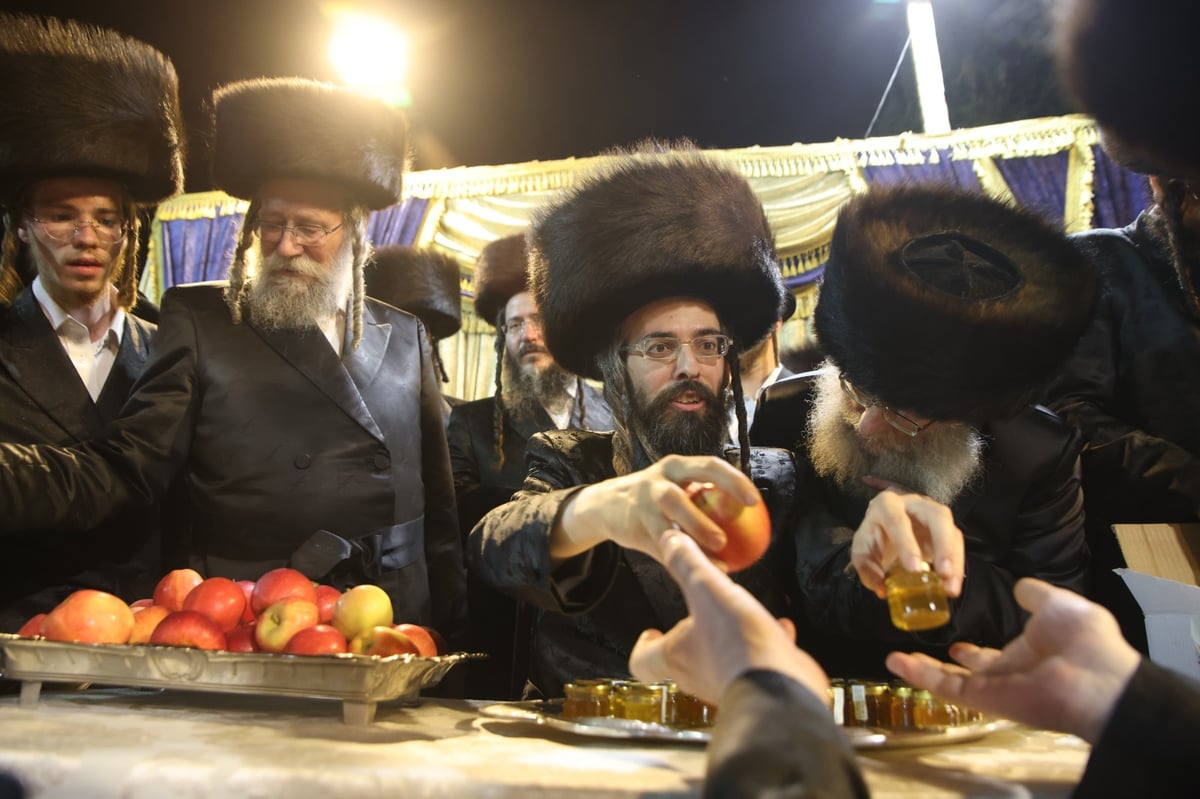 ה'ממשיך' מזוועהיל בשבת התאחדות במירון