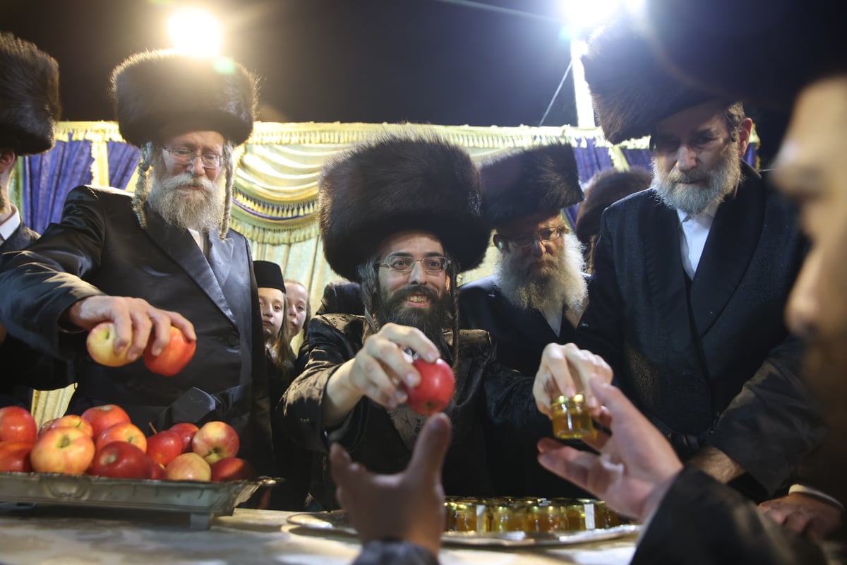 ה'ממשיך' מזוועהיל בשבת התאחדות במירון