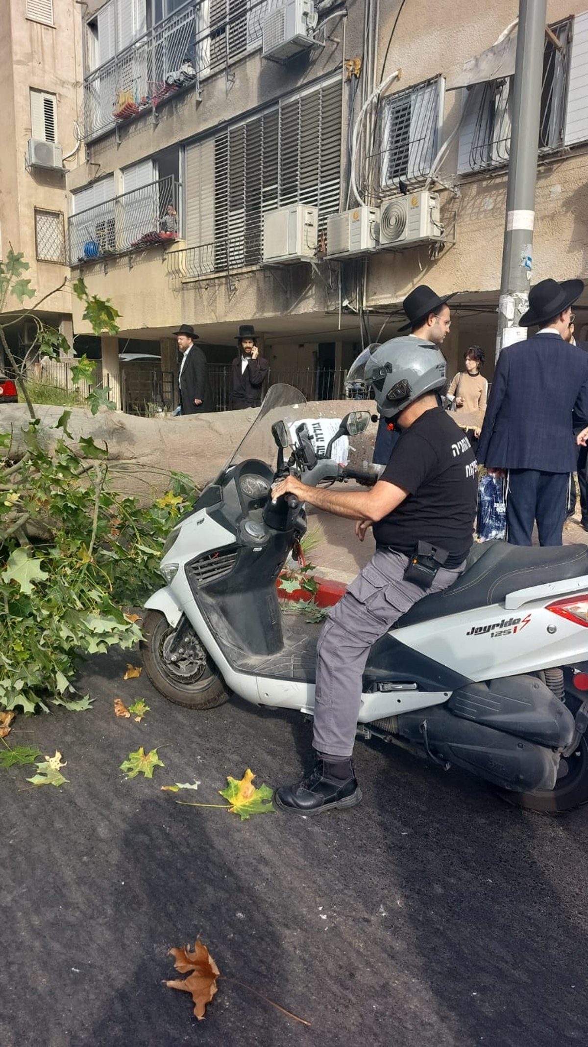 נס בבני ברק: עץ נפל סנטימטרים מהזמר על האופנוע