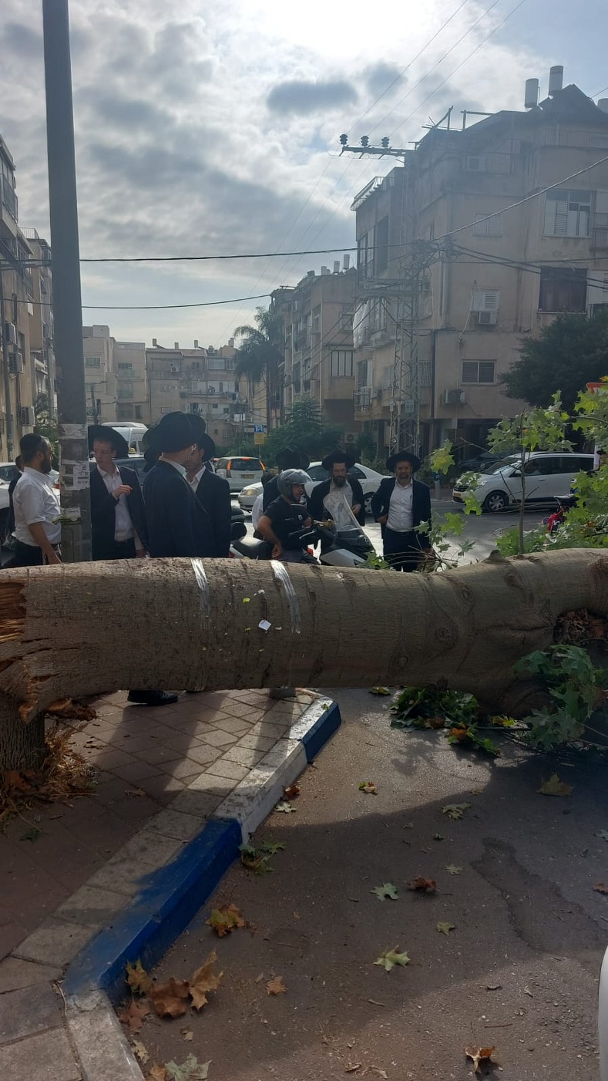 נס בבני ברק: עץ נפל סנטימטרים מהזמר על האופנוע