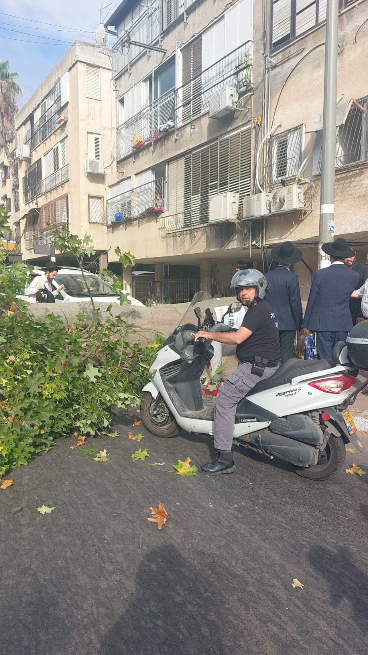 נס בבני ברק: עץ נפל סנטימטרים מהזמר על האופנוע