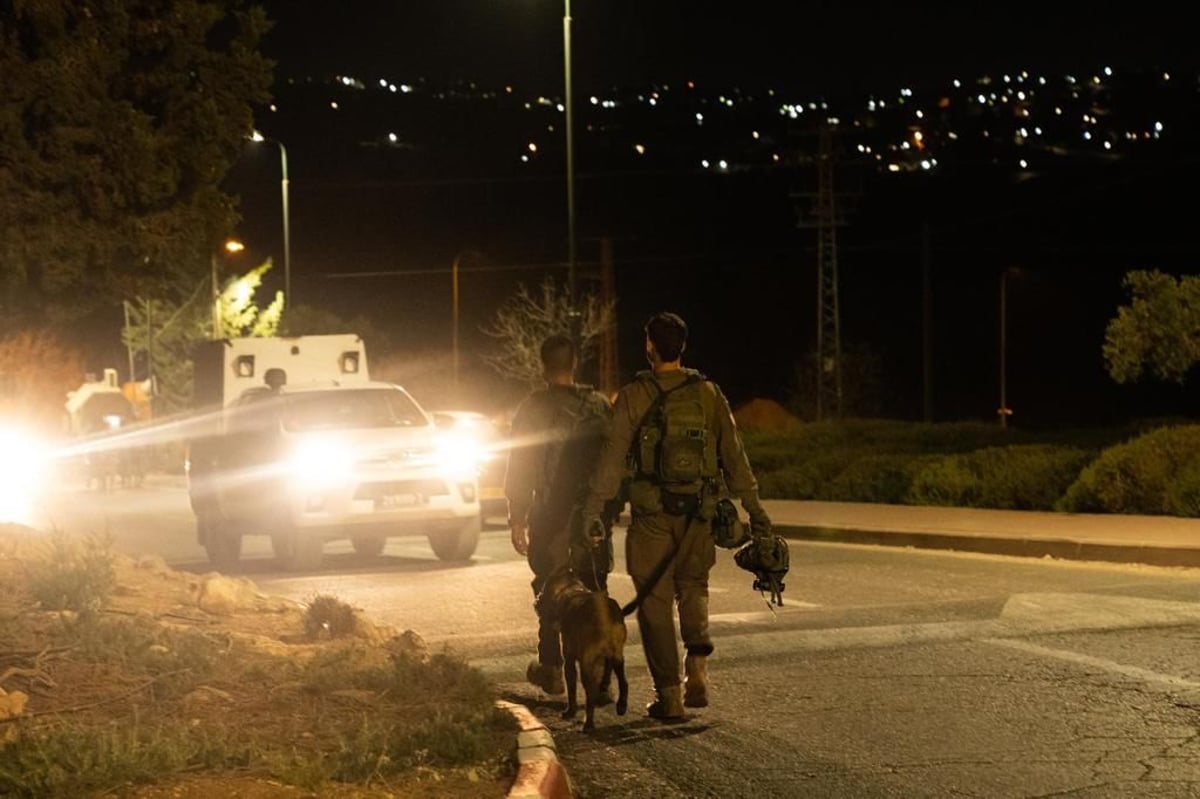 עם רחפנים וכלבנים: המחבל שביצע את פיגוע הירי - נעצר