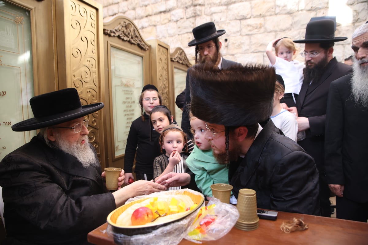 האדמו"ר מפינסק קרלין ערך 'חלאקה' לנכדו