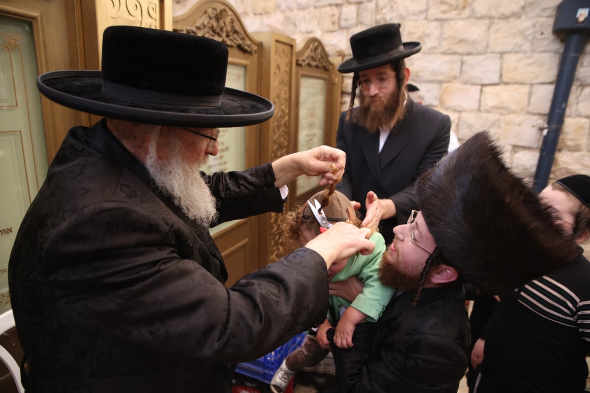 האדמו"ר מפינסק קרלין ערך 'חלאקה' לנכדו