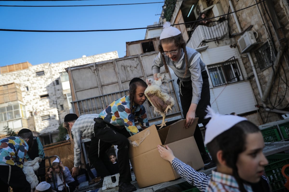 כפי המסורת העתיקה: הכפרות ב'שוק מאה שערים' | צפו