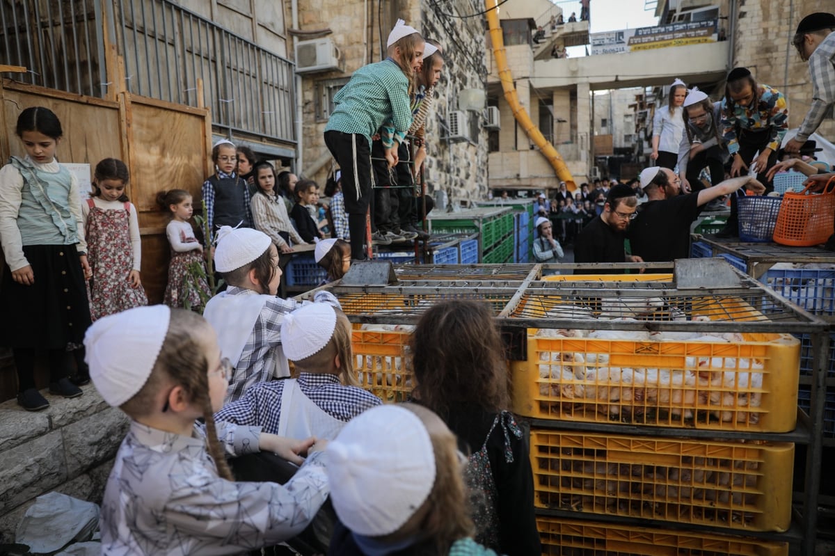 כפי המסורת העתיקה: הכפרות ב'שוק מאה שערים' | צפו