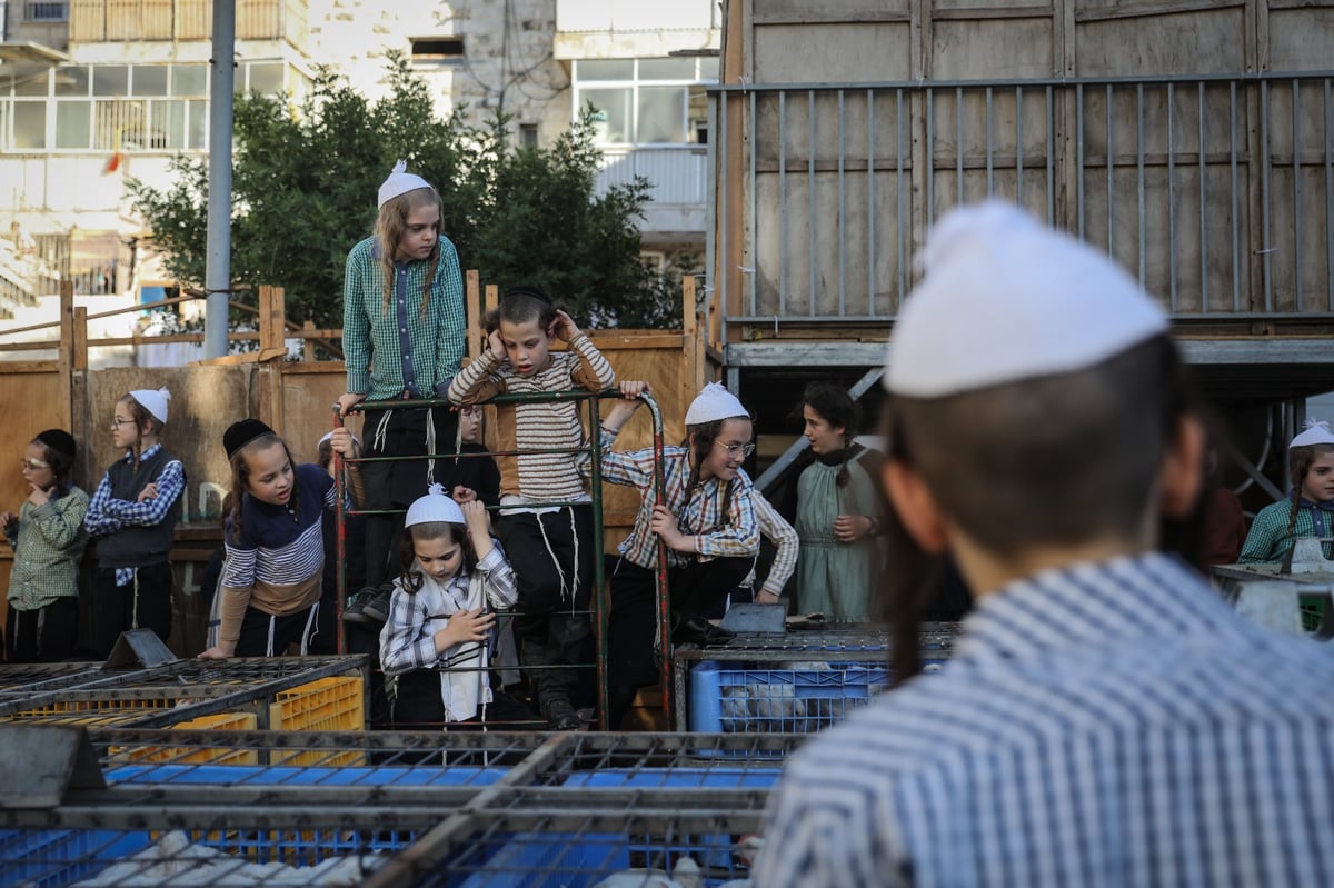 כפי המסורת העתיקה: הכפרות ב'שוק מאה שערים' | צפו