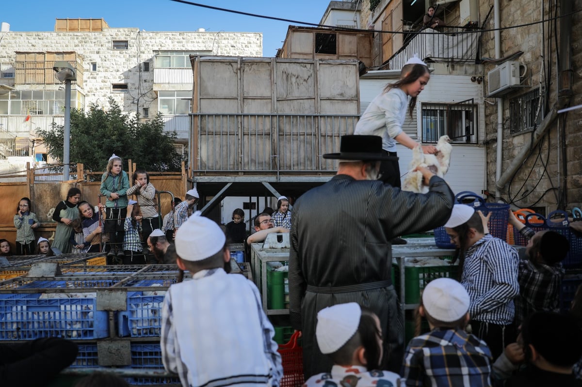 כפי המסורת העתיקה: הכפרות ב'שוק מאה שערים' | צפו