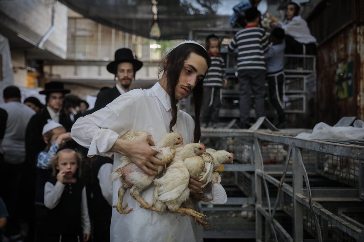 כפי המסורת העתיקה: הכפרות ב'שוק מאה שערים' | צפו