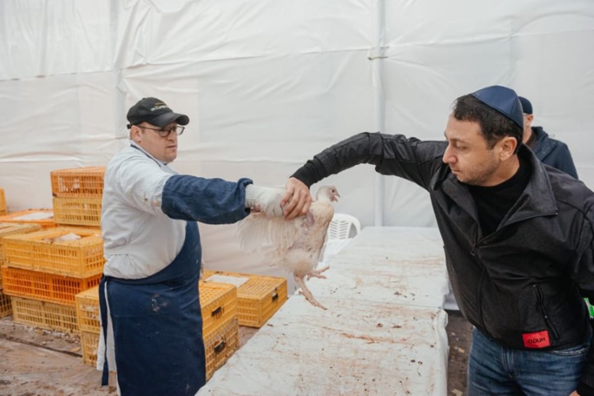 הרב לאזאר 'קפץ' על הבמה והציבור שר את 'מארש הניצחון'