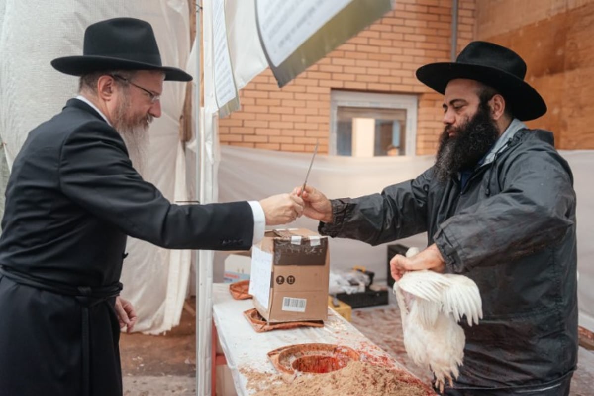 הרב לאזאר 'קפץ' על הבמה והציבור שר את 'מארש הניצחון'