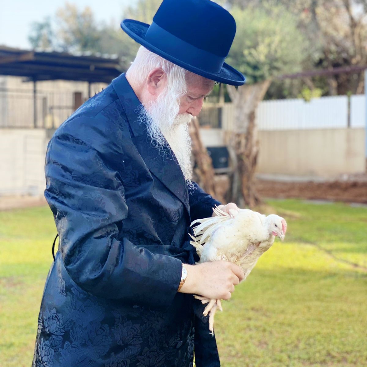 זופניק בכיכר • כל התמונות והנייעס של השבוע