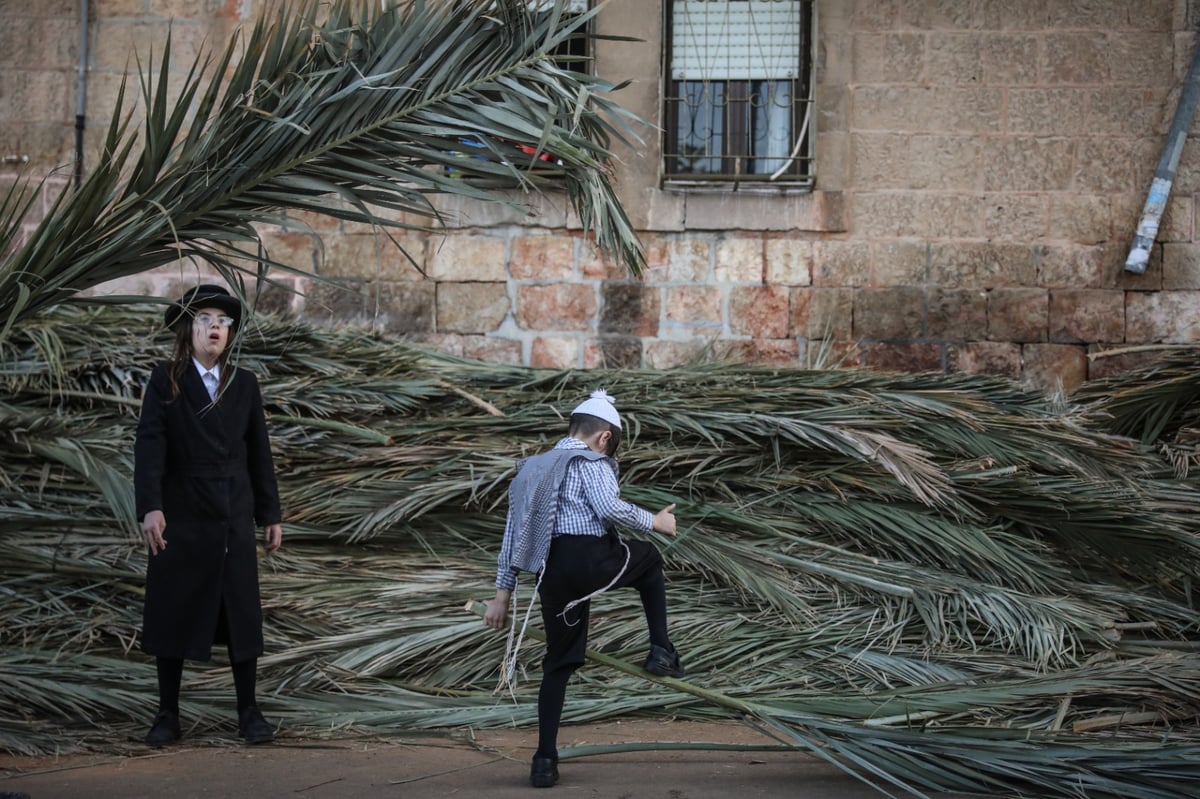 "כל האזרח בישראל ישבו בסוכות": תיעוד מרחובות ירושלים