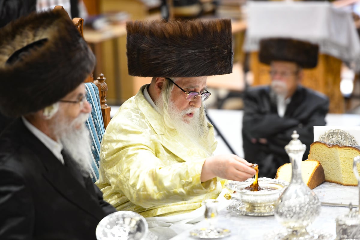 מתשליך וכפרות עד הלחיים: מראות יום הכיפורים בצאנז