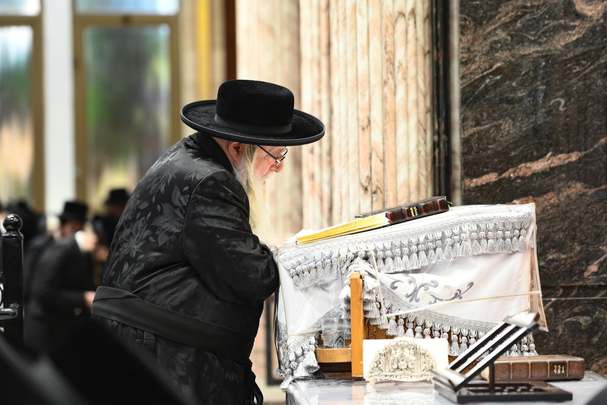 מתשליך וכפרות עד הלחיים: מראות יום הכיפורים בצאנז