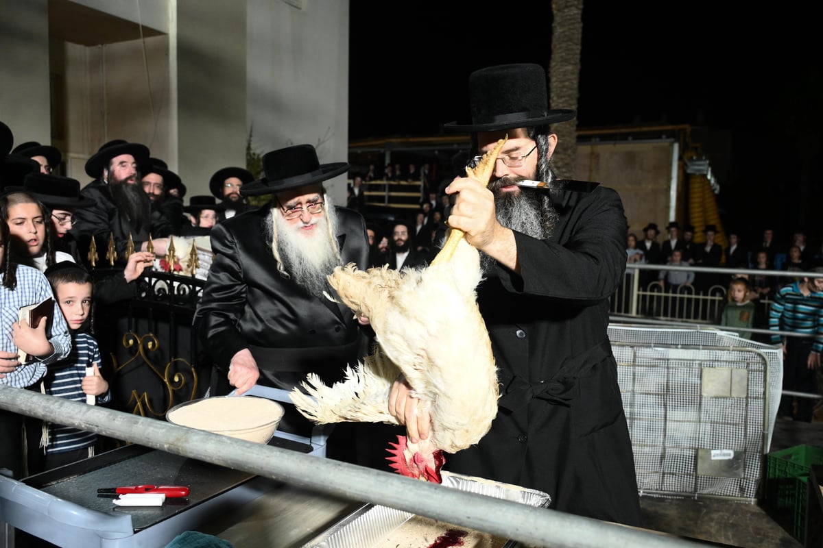 מתשליך וכפרות עד הלחיים: מראות יום הכיפורים בצאנז