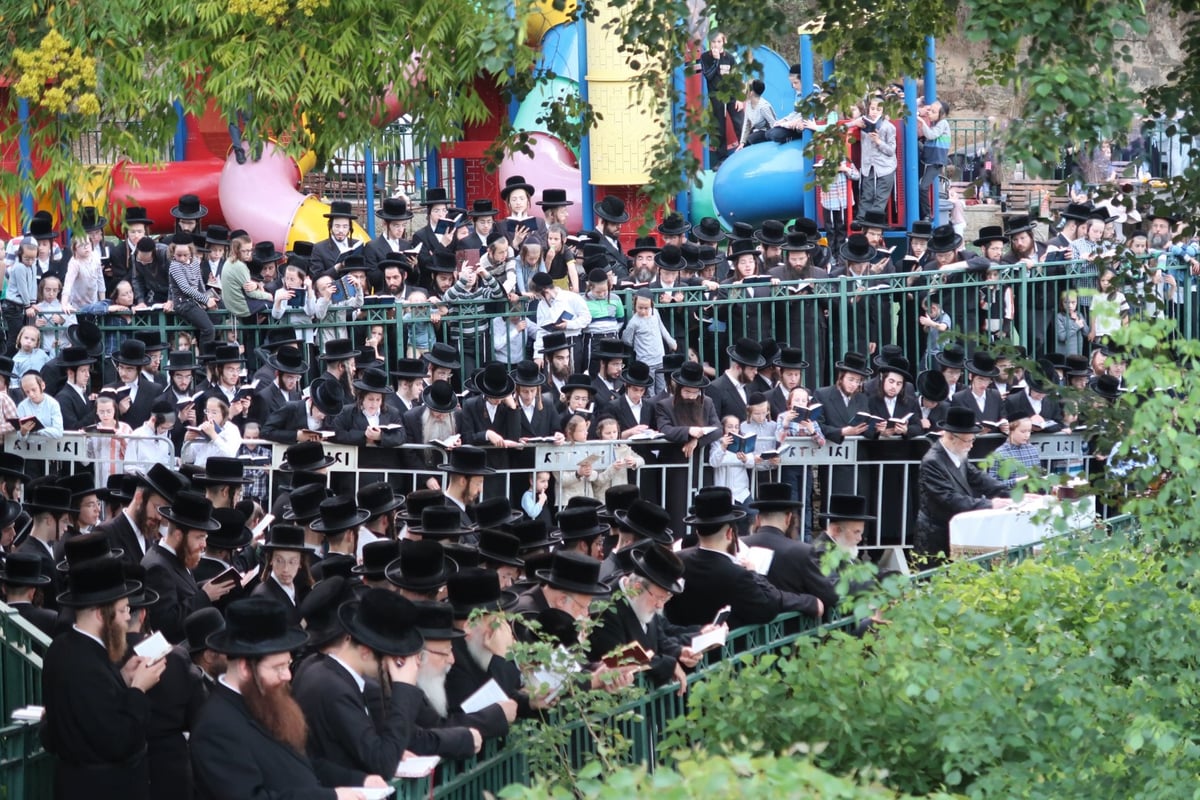 במוצאי יום כיפור: החסידים הגישו לרבי אלפי שעות לימוד