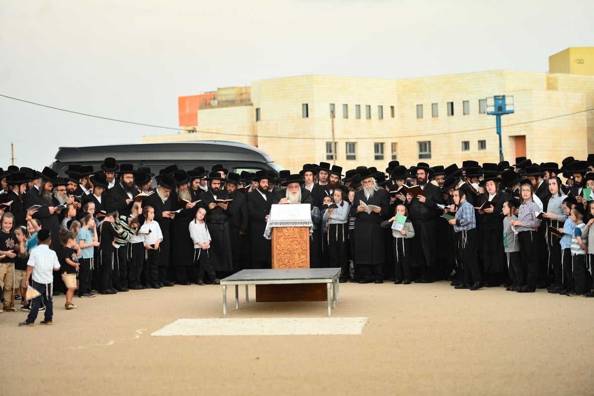 מתשליך וכפרות עד הלחיים: מראות יום הכיפורים בצאנז