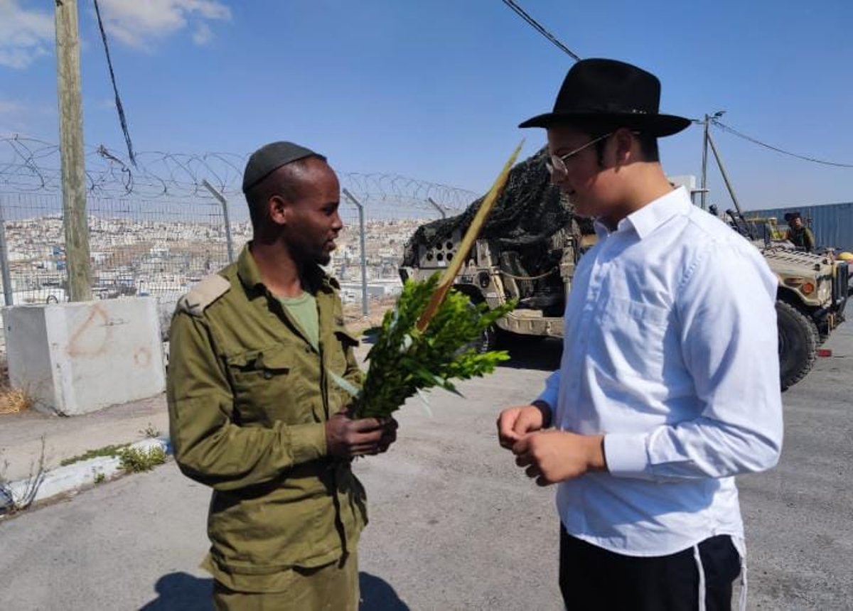 כל הארץ לולב: עם ישראל נוטל ארבעת המינים • גלריה