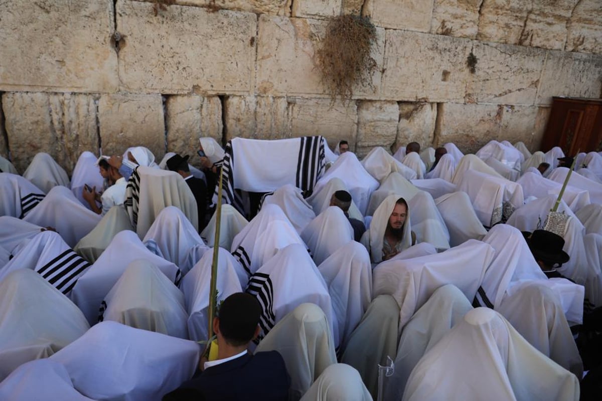 תיעוד מסכם: רבבות במעמד ברכת כהנים בכותל