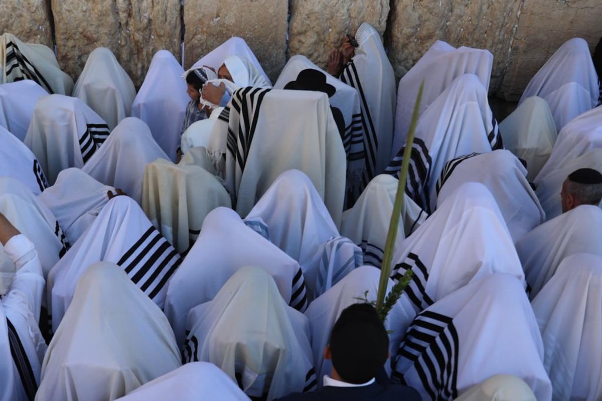 תיעוד מסכם: רבבות במעמד ברכת כהנים בכותל