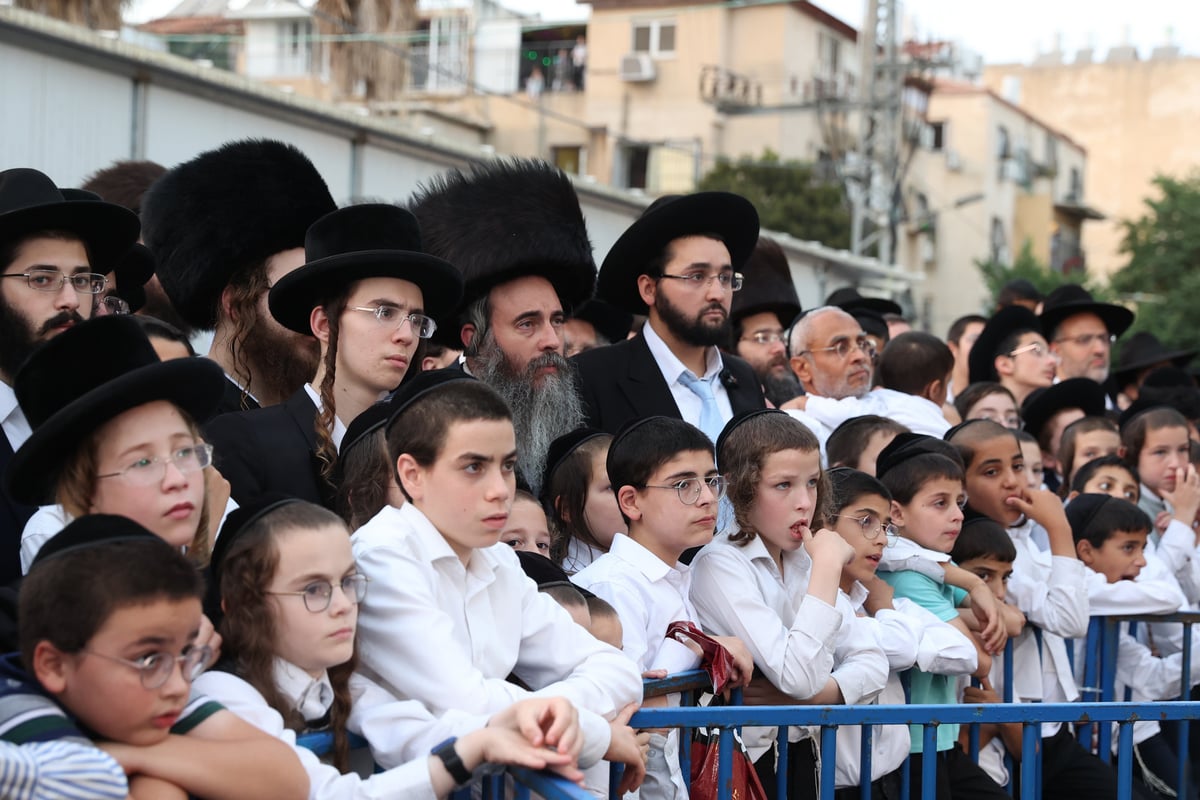 המונים במעמד פדיון פטר חמור בבני ברק | תיעוד