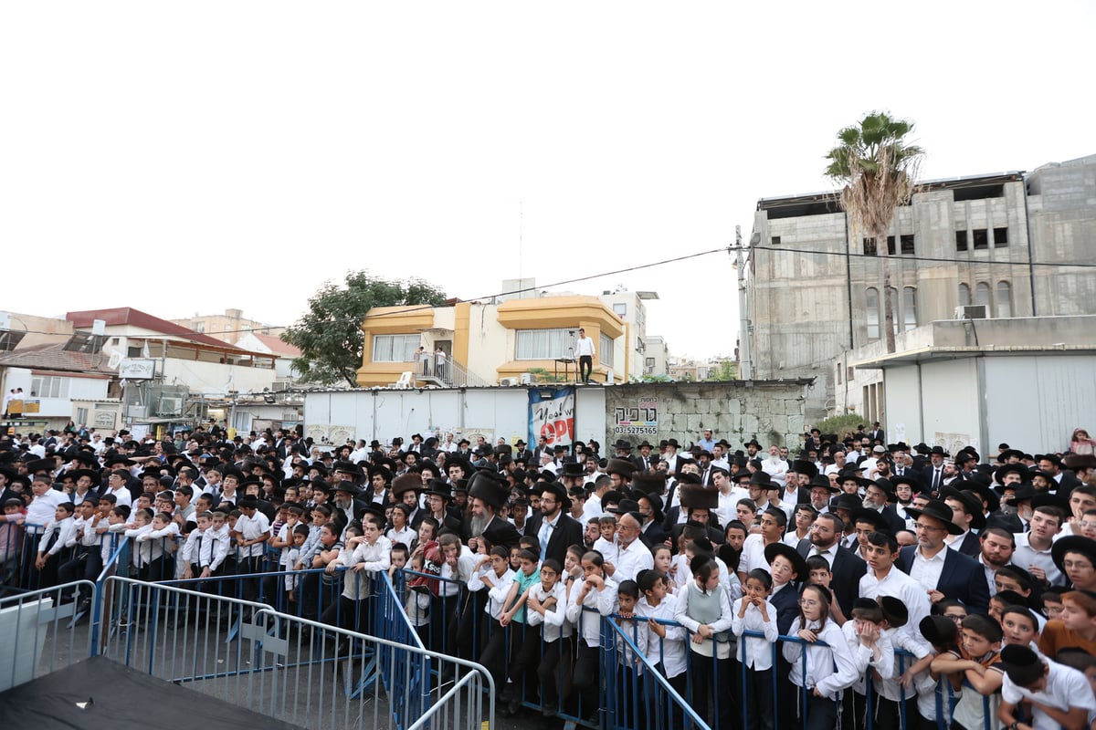 המונים במעמד פדיון פטר חמור בבני ברק | תיעוד