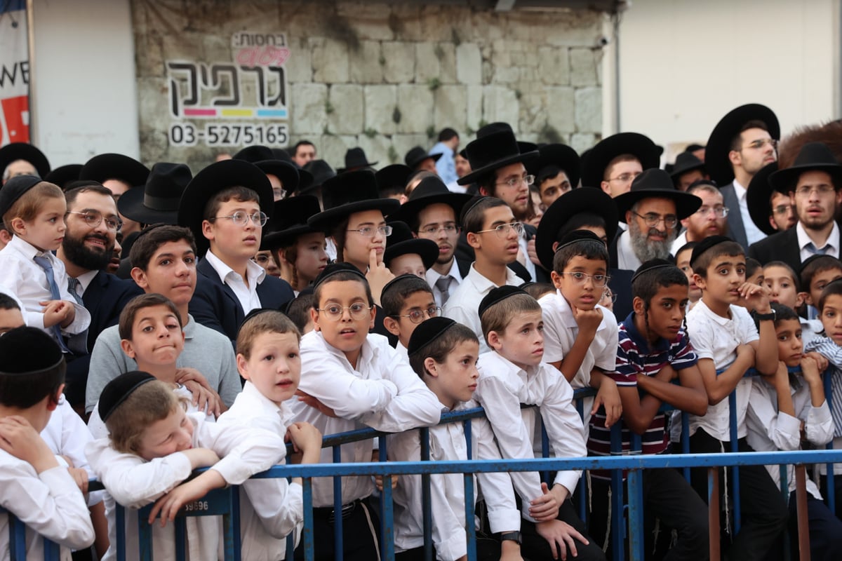 המונים במעמד פדיון פטר חמור בבני ברק | תיעוד