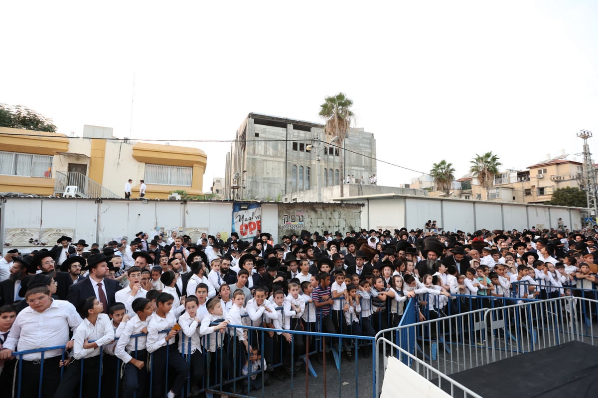 המונים במעמד פדיון פטר חמור בבני ברק | תיעוד