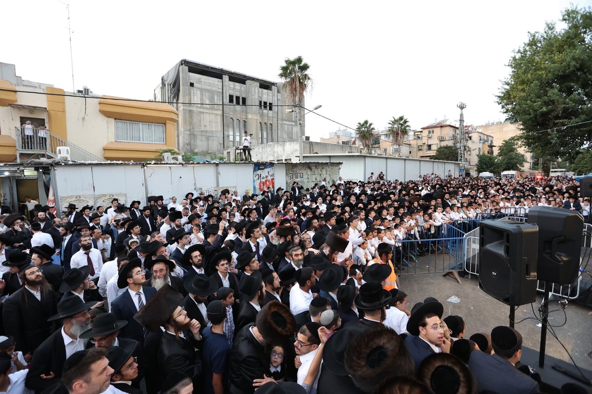 המונים במעמד פדיון פטר חמור בבני ברק | תיעוד