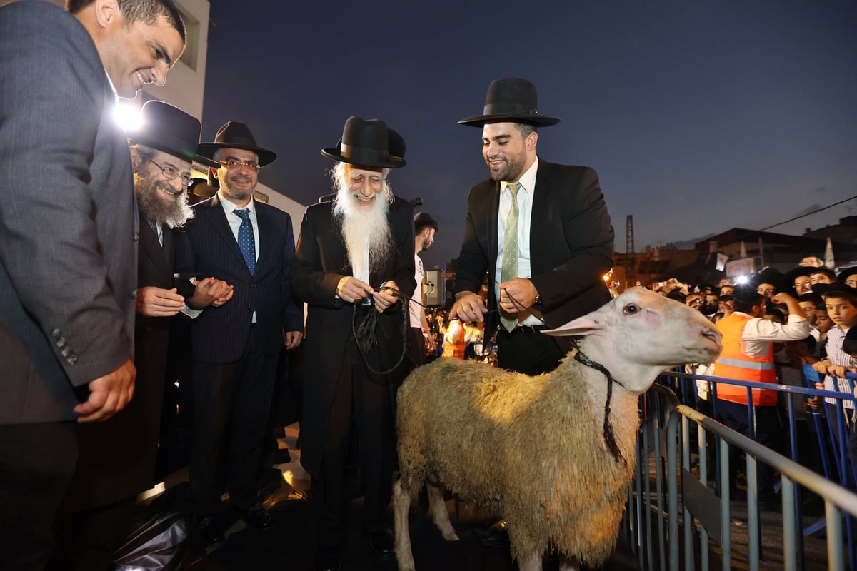 המונים במעמד פדיון פטר חמור בבני ברק | תיעוד