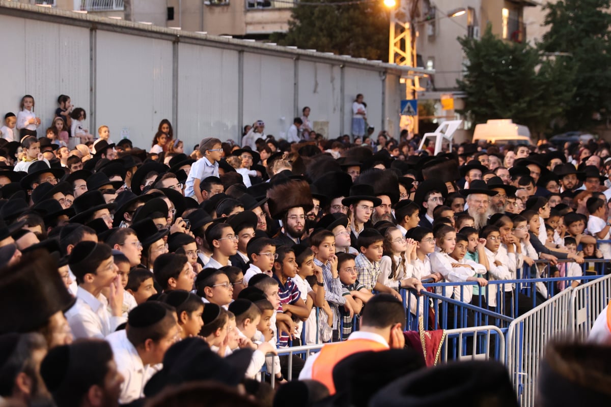 המונים במעמד פדיון פטר חמור בבני ברק | תיעוד