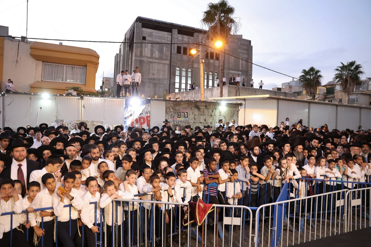 המונים במעמד פדיון פטר חמור בבני ברק | תיעוד